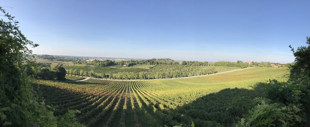 Fattoria Paradiso بيرتينورو المظهر الخارجي الصورة