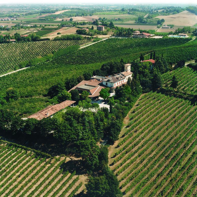 Fattoria Paradiso بيرتينورو المظهر الخارجي الصورة
